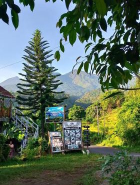 Blue Mountain Cottage