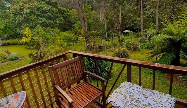 Blue Mountains studio, wild native garden full of birds, week-long stay 30% off