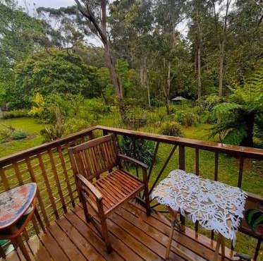 Blue Mountains Studio Retreat, Lyrebird Creek, pet friendly