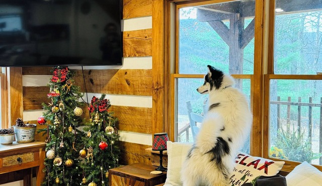 Blue Ridge Mtn Log Cabin 4 bedroom + Treehouse Bird Watchers