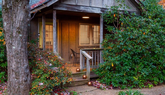 Blue Ridge Parkway cabin-2BR, hot tub, fireplace