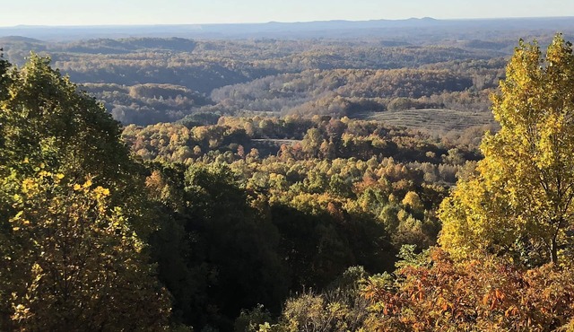 Blue Ridge Parkway Seclusion