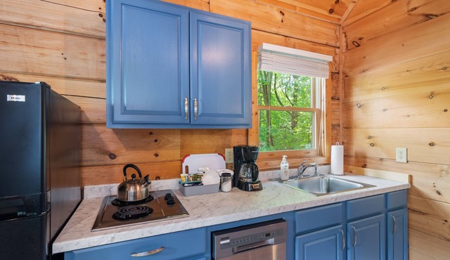 Blue RIdge Pkwy, Jefferson Sleeps 4 - mult. cabins avail. contact us for groups