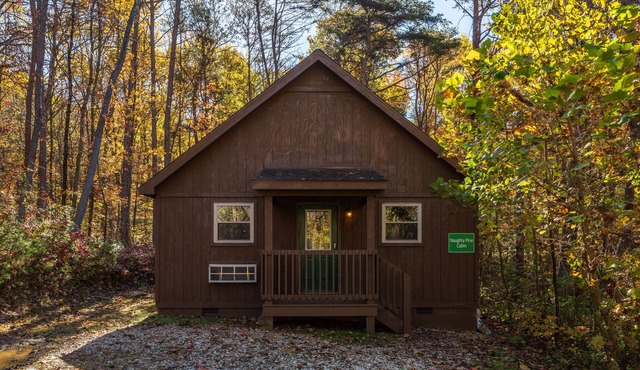 Blue Rose Cabins - Naughty Pine Cabin