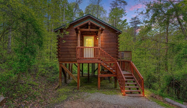 Blue Rose Cabins - Overlook Cabin
