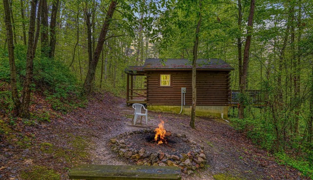 Blue Rose Cabins - Wildwood Cabin