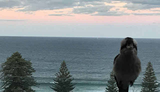 Blue Seas Villa, Sth Avoca Magnificent Beach & Ocean Views