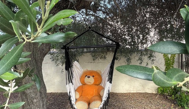 Blue shutters, villa between sea and hills, in the heart of ❤️de la Vaunage!