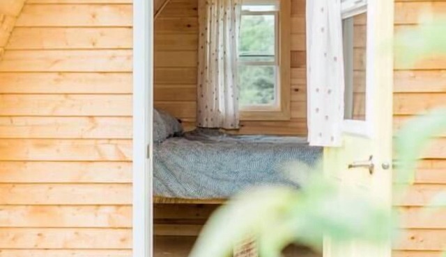 Blue Spruce Camping Pod