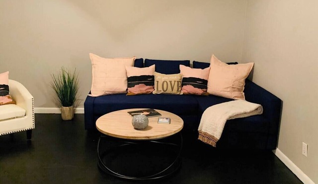 Blue Suede Shoes Apartment near downtown Martin
