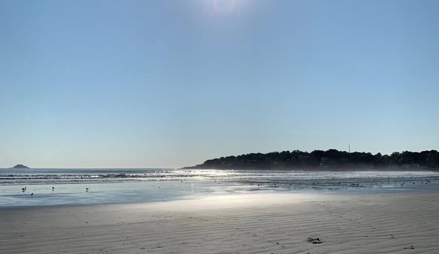 Blue View Nahant! Steps to the beach, ocean views. Relax and work “from home”!