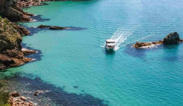 Blue Waves Phillip Island Beach House with Water Views