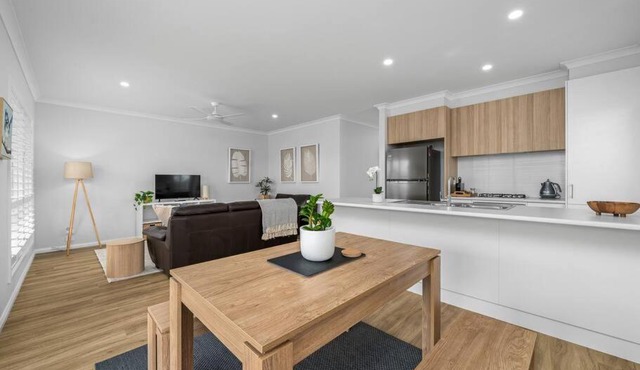 Blue Wren at Thurgoona