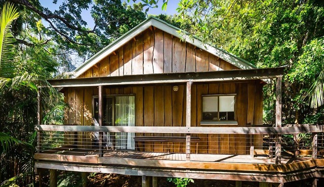 Blue Wren Cottage: Mt Glorious Getaways