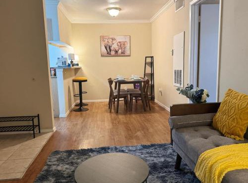 Bluebeam 1 Bed near Medical Center and NRG with Pool