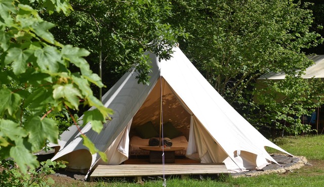 Bluebell Brook CampnSecluded camping in 13 acres of magical meadow and woodland.