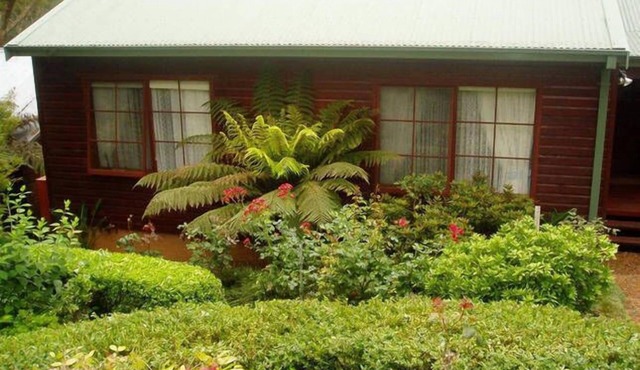 Bluebell Cottage set amongst the trees which attract many native birds.
