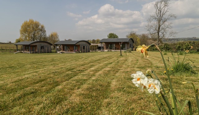 BLUEBELL, pet friendly, with a garden in West Pennard