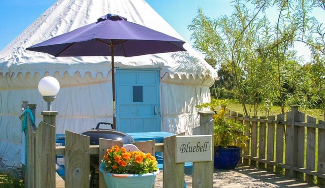 Bluebell Yurt