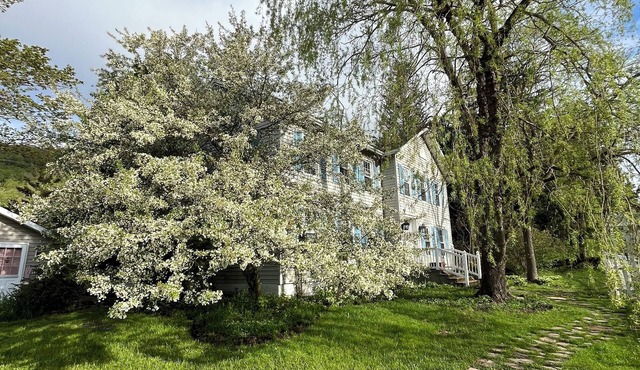 Blueberry House, Victorian Elegance Meets Modern Comfort