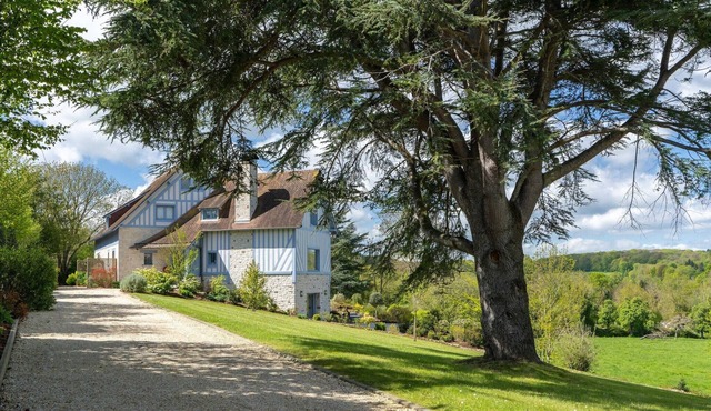 Blueberry of the Valley - House with swimming pool