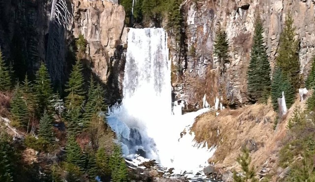 Bluebird Day - Hawks Nest