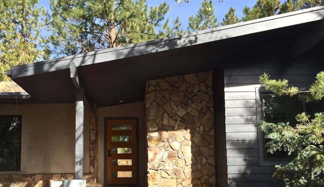 Bluebird Day - Stargazer