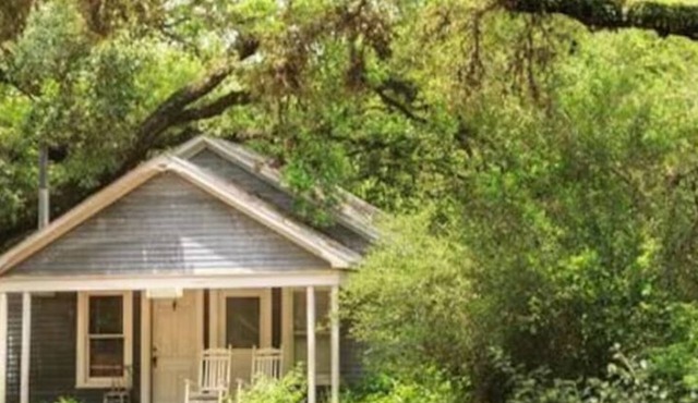 Bluebonnet Bungalow with Private Hot Tub & options to enjoy fun Exotic Animal Safari!