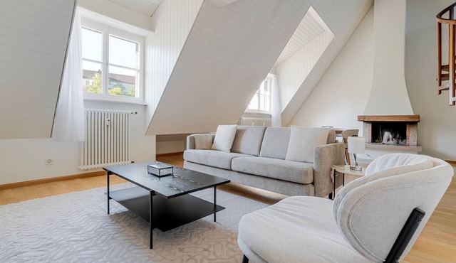 Blueground | Basel-Vorstaedte, river view, nr Rhine