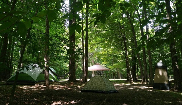 BlueMoon - quiet, private, secluded