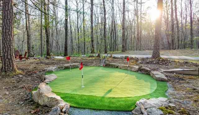 BlueRidge-IndrPol,HotTub,BBQ,Arcade,Theter&Firepit