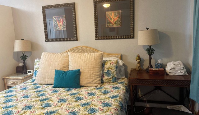 BlueRiverBreeze Suite! 3-6 min drive to Daytona Beach, Pictona pickleball courts