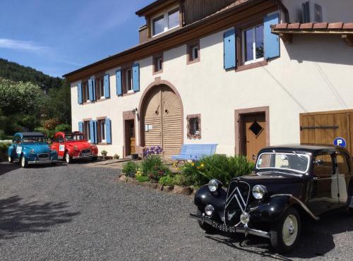 Bluets et Brimbelles