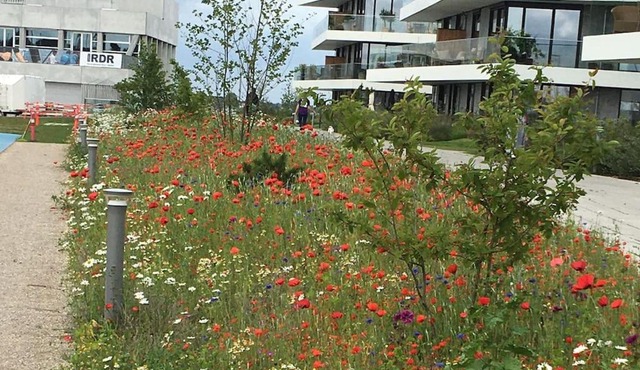 Bo med stil og udsigt til Aarhus lystbådehavn
