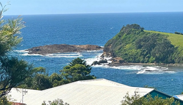 Boat Harbour Suite, beautiful ocean and country views. Excellent whale watching