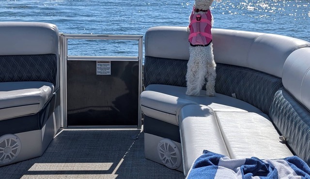 Boat Included Pool Pet Friendly. A Most Unique Vacation Home in the country 4U