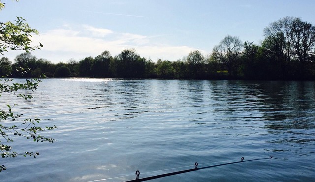 Boat Pontailler-sur-Saône, 2 bedrooms, 8 persons