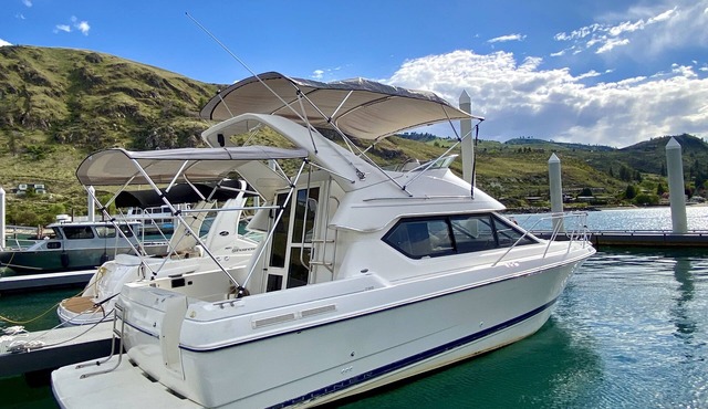 Boat Stay on Lake Chelan: Clubhouse, Small Dog, Propane Grill