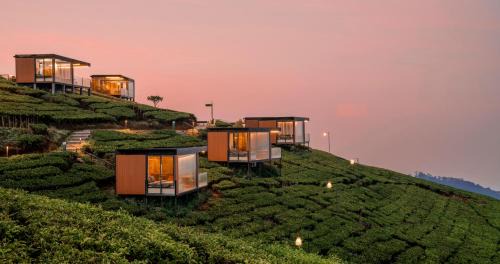 Bobocabin Signature Kawah Ciwidey, Bandung