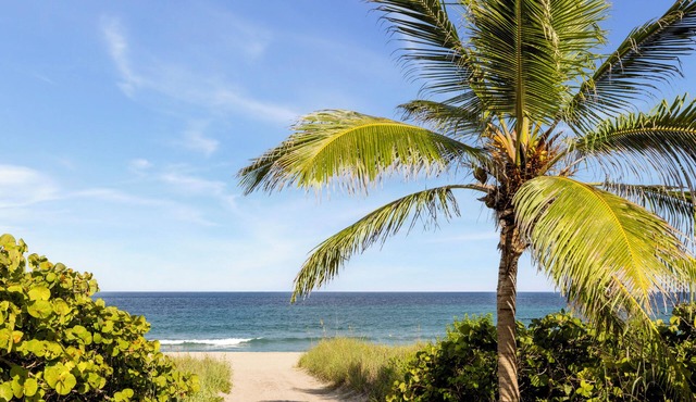 Boca Raton Marriott at Boca Center