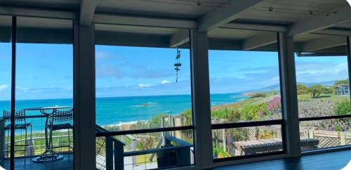 Bodega Bay Magical Ocean Front w/Amazing View!