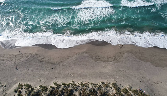 Bodega Bay on the Edge of Pacific Ocean