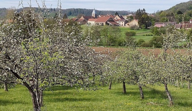 Boerderij , 8 Persoons met Zwembad en Groots Uitzicht
