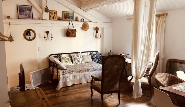 Bohemian chic house in the heart of Avignon ideal for groups.