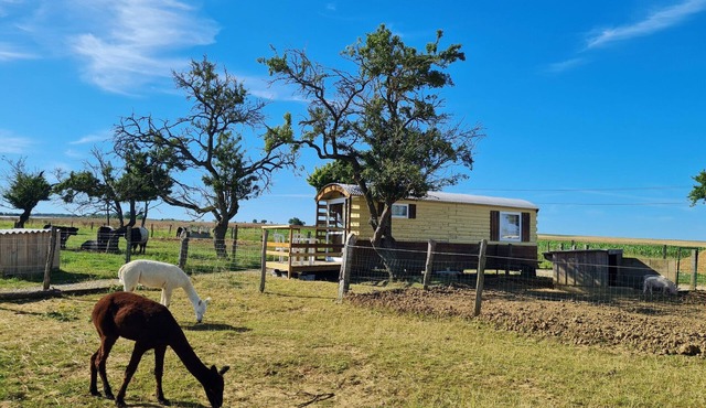 Bohemian Caravan Comfort South of Nancy