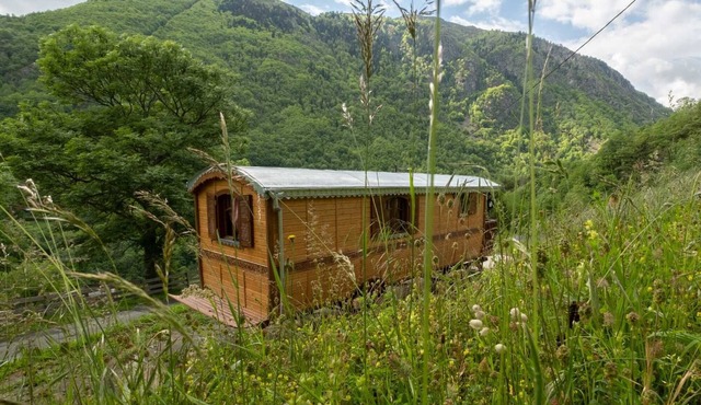Bohemian Night in the Mountains – Ancolie Caravan with View, Heating and Wi-Fi