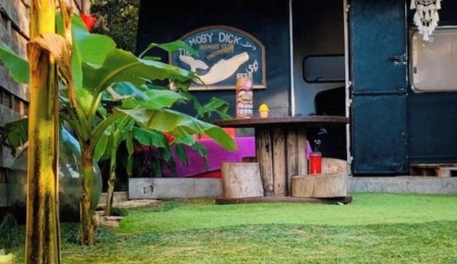 Bohemian relaxation in the shade of the pines