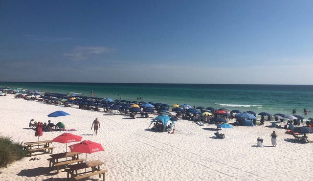 Bohemian Retreat House near Historic St. Andrews area - Panama City