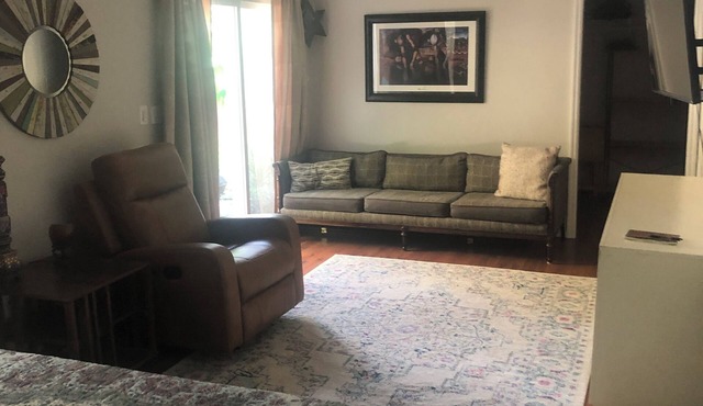 Boho Chic 1BR apt with hot tub, yard and BBQ near beach & downtown St. Pete