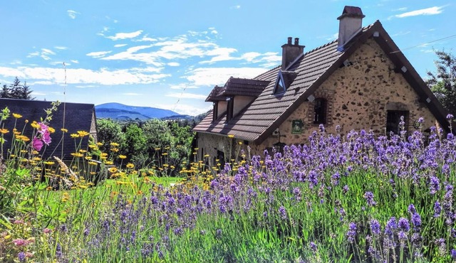 Boisseau - GRANDE-VERRIERE (LA)